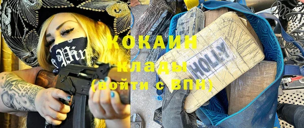 шишки Верея