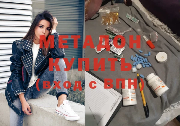 шишки Верея