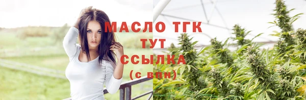 шишки Верея