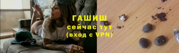 шишки Верея