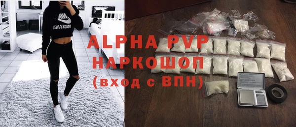шишки Верея