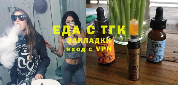 шишки Верея