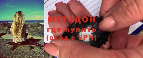 шишки Верея