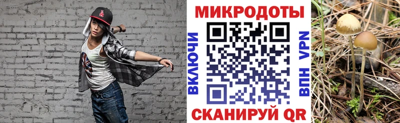 Галлюциногенные грибы ЛСД Гаджиево